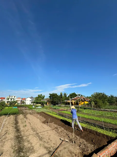 Không Thể Bỏ Qua 1 Lô Đất 3 Giá Trị – Lô Góc 2 Mặt Tiền View Sông Và View Làng Rau Trà Quế Cực Hiếm Tại Hội An (MS558)